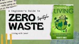 How a zero Waste lifestyle Can Save You Money