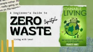 How a zero Waste lifestyle Can Save You Money